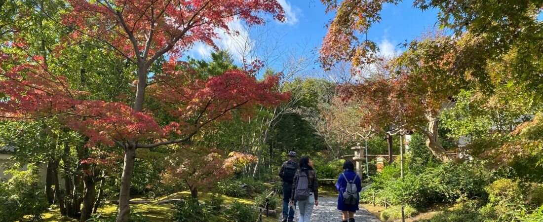 The Benefits of Morning Walks in the Garden for Seniors